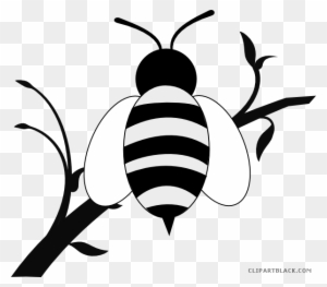 Honey Bee Animal Free Black White Clipart Images Clipartblack - Black And White Branch Of Tree Clipart