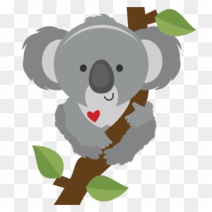 Download Koala On Branch Svg Scrapbook Cut File Cute Clipart Koala Free Transparent Png Clipart Images Download