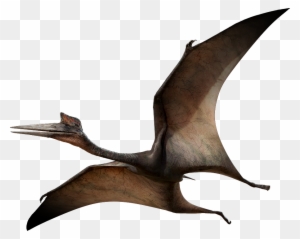 Quetzalcoatlus - All Kinds Of Dinosaurs - Free Transparent PNG Clipart ...