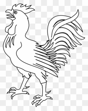 Fighting Rooster Coloring Pages ديك للتلوين Free Transparent Png Clipart Images Download