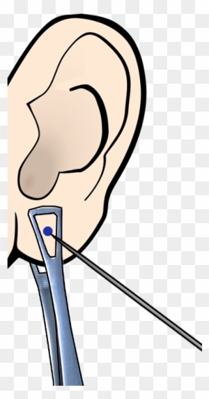 pierced ear clip art