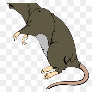 Rat Clipart Grey Greedy Rat Clip Art At Clker Vector - Clip Art - Free ...