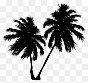 Beach Coconut Tree Png - Free Transparent PNG Clipart Images Download