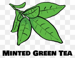 green tea leaves clipart kids