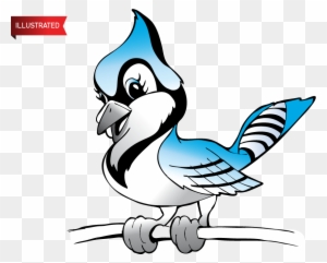 Blue Jay Clip Art, Transparent PNG Clipart Images Free Download - ClipartMax