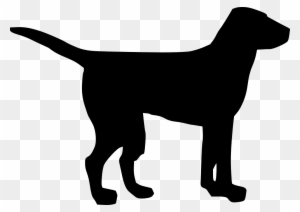 Download Labrador Dog Clipart Transparent Png Clipart Images Free Download Clipartmax