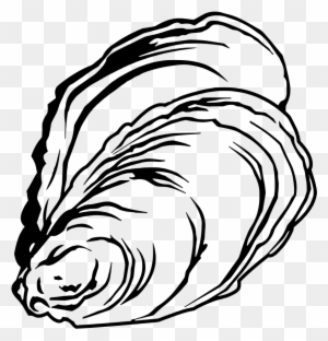 Oyster Seashell Drawing Cartoon Concha De Mar Dibujo Free