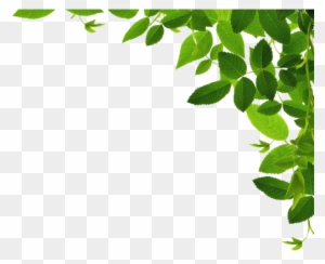 Green Border Clipart - Forest Borders And Frames - Free Transparent PNG ...