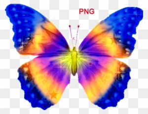 Картинки На Прозрачном Фоне В Формате - Бабочки Анимация На Прозрачном Фоне