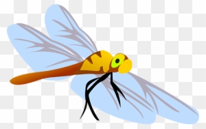 Firefly - Butterfly Vector Free - Free Transparent PNG Clipart Images ...