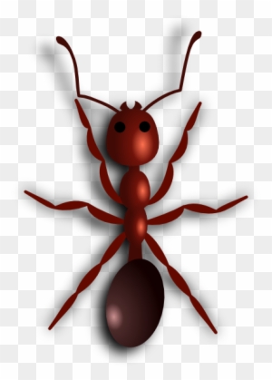 Ant Clipart, Transparent PNG Clipart Images Free Download - ClipartMax