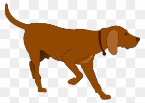 coon dog videoing clipart