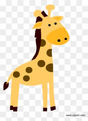 Download Baby Giraffe Clipart Transparent Png Clipart Images Free Download Clipartmax