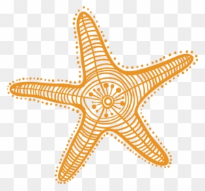 Starfish Drawing Cartoon Clip Art - Dibujo Estrella De Mar