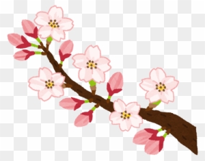 花の成長過程のイラスト6 花 が 咲く イラスト Free Transparent Png Clipart Images Download