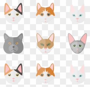 Cat Computer Icons Perfil do usuário, Bigmidin, animais, smiley, papel de  parede png