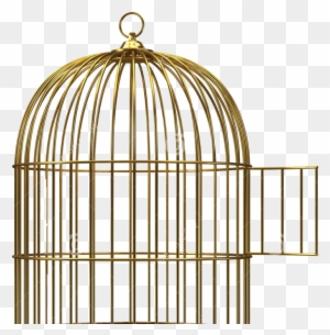 open bird cage clipart