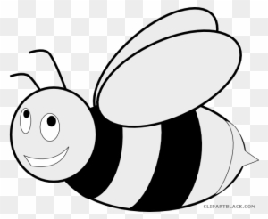 Bumble Bee Clipart Black And White, Transparent PNG Clipart Images Free