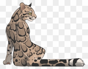 Leopard Seal Clipart Deviantart - Clouded Leopard Drawing