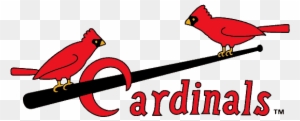 Birds on a Bat: The Evolution of the Cardinals Franchise Logo – TOKY