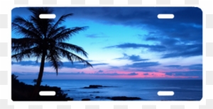 Beach Blue Sunset - Palm Tree 4k - Free Transparent Png Clipart Images 