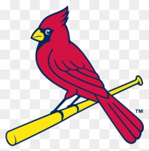 Birds on a Bat: The Evolution of the Cardinals Franchise Logo – TOKY