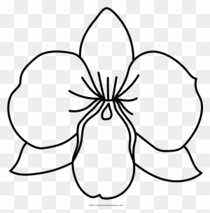 Image Orchid Colouring Pages With Coloring Page Ultra - Dibujo De Orquidea  Para Colorear - Free Transparent PNG Clipart Images Download