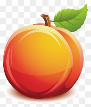 Nectarine Fruit Clip Art - Clipart Nectarine Png - Free Transparent PNG ...