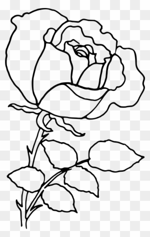 traditional rose drawing outline