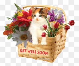 Get Well Soon Card With Teddy Bear. Vector Illustrated Card. Royalty Free  SVG, Cliparts, Vectors, and Stock Illustration. Image 64253511.