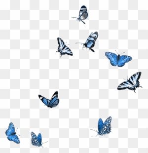 Butterfly Clip Art - Papillon Bleu Png - Free Transparent PNG Clipart ...