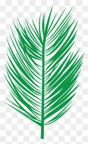 Palm Leaf Outline - Palm-leaf Manuscript - Free Transparent PNG Clipart ...