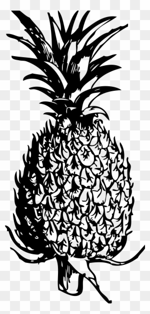 pineapples clipart black and white basketball