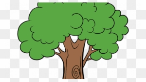 Unlimited Cartoon Tree Picture How To Draw A Easy Step - Draw A Cartoon Tree