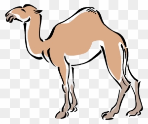 Bactrian Camel Clip Art - Desert Camel Clipart - Free Transparent PNG ...