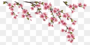 Cherry Blossom Branch Clip Art - Cherry Blossom Leaves Png - Full Size ...