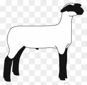lamb clipart black and white