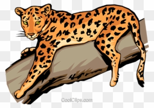 Illustrated Watercolor Leopard Royalty Free SVG, Cliparts, Vectors