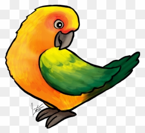 Jen's Dogs Has Posted It's First Bird Art The Sun Conure - Sun Conure