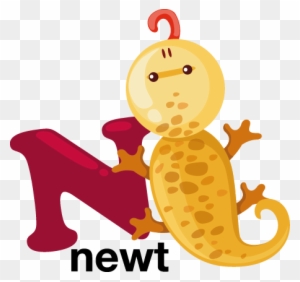 N For Newt Kids Sticker Animal Alphabet Letter N Free Transparent Png Clipart Images Download