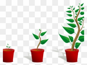 Getting To Know Plants - Free Transparent PNG Clipart Images Download