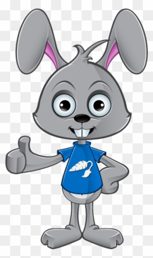 Giving A Thumbs Up - Rabbit Holding A Sign