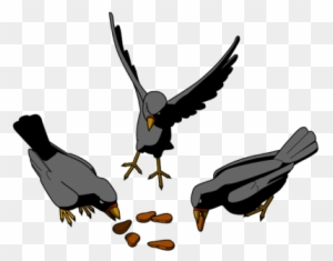 bird eating seeds clipart black