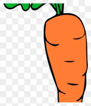 carrot #fruit #toon #free #remix #flstudio #fruityloops - Fl