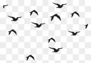 Wildlife Clipart Bird Flock - Birds Black And White Pencil - Free ...