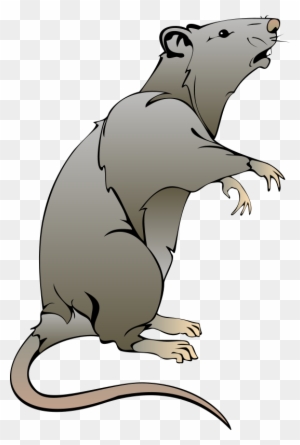 drowned rat clipart rodents