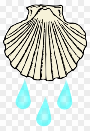 Oyster Seashell Drawing Cartoon - Concha De Mar Dibujo - Free
