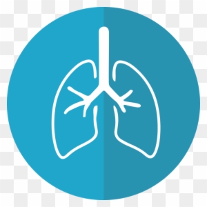 Medicamento Para Fibrosis Pulmonar Blue Lung Png Free Transparent Png Clipart Images Download