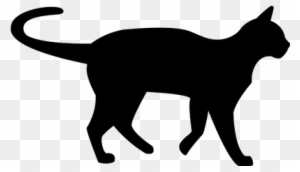 Cats transparent PNG images - StickPNG