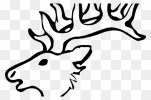 how to draw a simple deer head